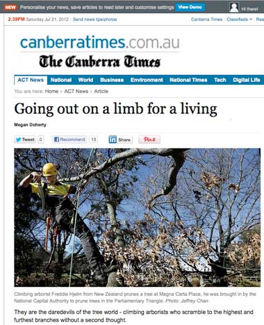 Canberra tree climbers